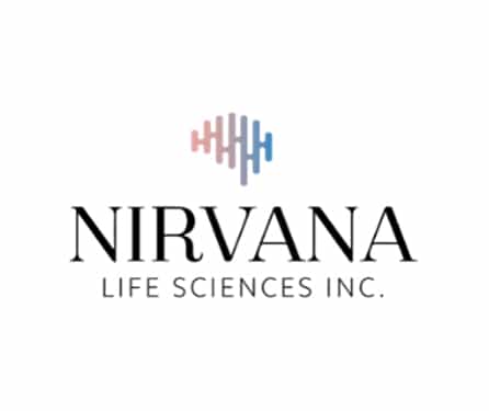 Logo Nirvana